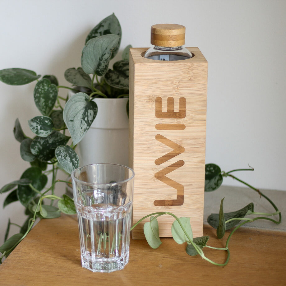 LAVIE water purifier